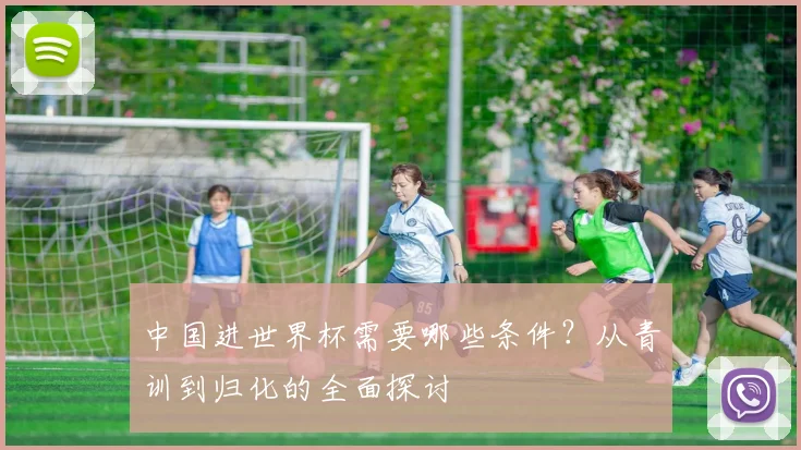 中国进世界杯需要哪些条件？从青训到归化的全面探讨
