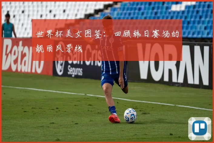 世界杯美女图鉴：回顾韩日赛场的靓丽风景线