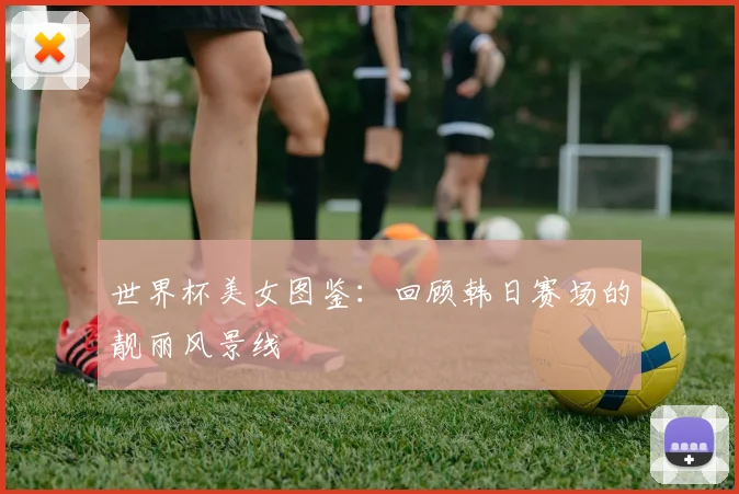 世界杯美女图鉴：回顾韩日赛场的靓丽风景线