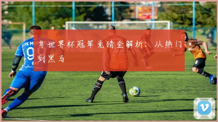 年世界杯冠军竞猜全解析:从热门到黑马