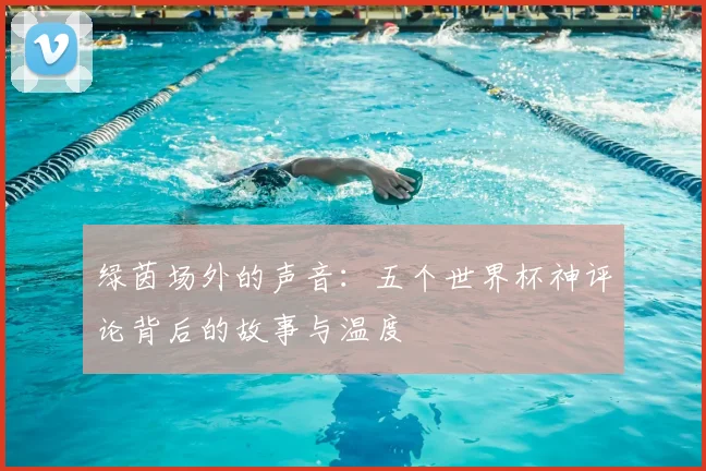 绿茵场外的声音：五个世界杯神评论背后的故事与温度